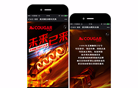 美洲狮20周年庆典